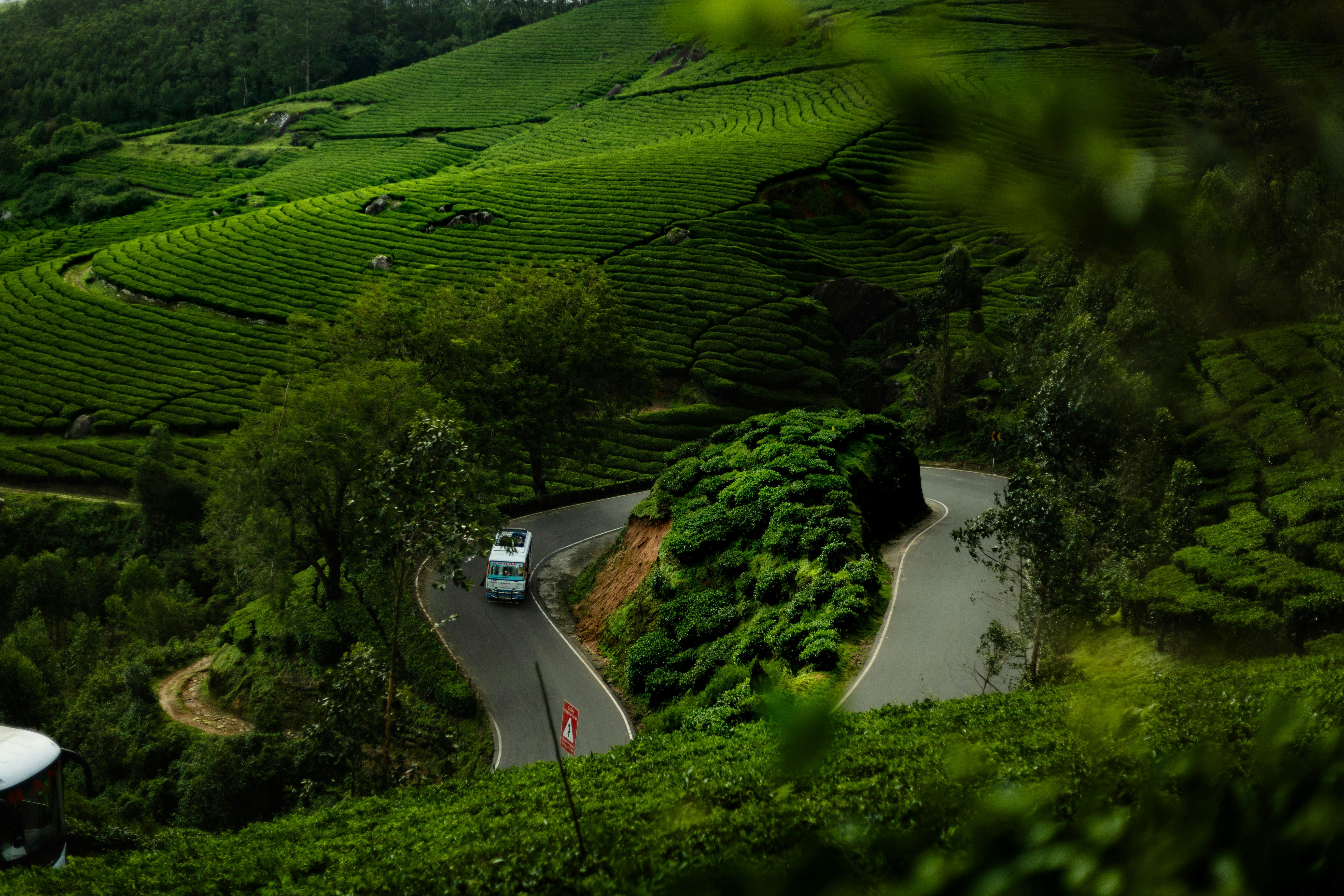 Wayanad